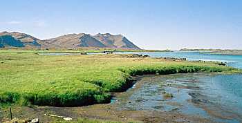 Hvitarvellir