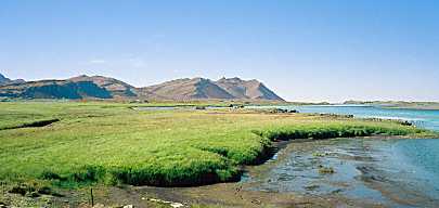 hvitarvellir marketplace