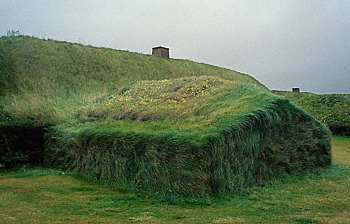 living grass roof and walls