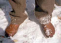 wet shoes in snow