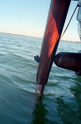 Viking ship steerboard