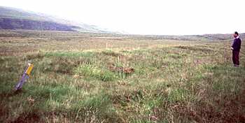 ruins at Godanes